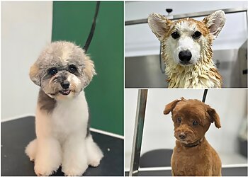 Pasir Ris Pet Services 2FUR7 Pet Store image 3 Pasir Ris Pet Services 2FUR7 Pet Store image 3