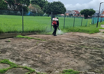 Bedok Pest Control Companies 3000Immunity Pte Ltd. image 3 Bedok Pest Control Companies 3000Immunity Pte Ltd. image 3