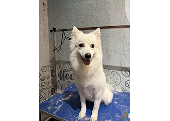 Jurong East Pet Services 36 Grooming image 3 Jurong East Pet Services 36 Grooming image 3