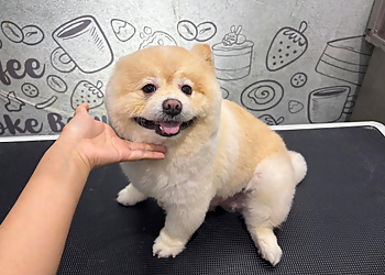 Jurong East Pet Services 36 Grooming image 1