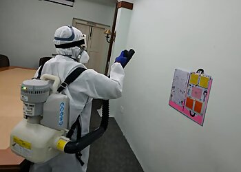 Choa Chu Kang Pest Control Companies A-Flick Pest Management image 2 Choa Chu Kang Pest Control Companies A-Flick Pest Management image 2