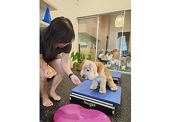 Geylang Veterinary Clinics ARK Veterinary Rehabilitation image 2 Geylang Veterinary Clinics ARK Veterinary Rehabilitation image 2