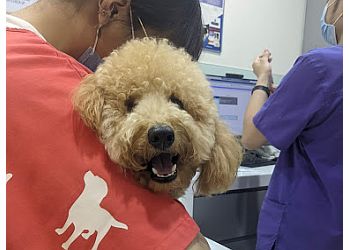 AVH Animal Ark Veterinary Group photo AVH Animal Ark Veterinary Group