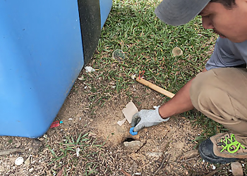 Hougang Pest Control Companies AZantz Services Pte Ltd image 3 Hougang Pest Control Companies AZantz Services Pte Ltd image 3