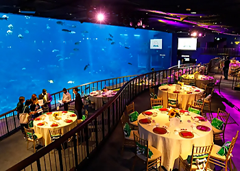 Hougang Event Planners Above The Line Events image 2 Hougang Event Planners Above The Line Events image 2