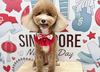 AdoraPaws photo AdoraPaws