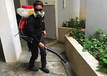 Sembawang Pest Control Companies Aerohub Pest Control & Cleaning Pte. Ltd. image 2 Sembawang Pest Control Companies Aerohub Pest Control & Cleaning Pte. Ltd. image 2