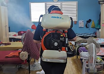 Chinatown Pest Control Companies All Out Pest Management Pte. Ltd. image 3 Chinatown Pest Control Companies All Out Pest Management Pte. Ltd. image 3