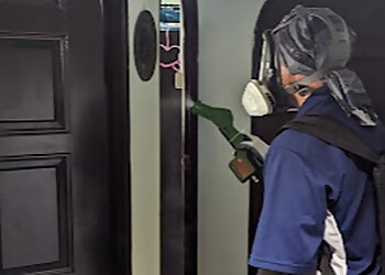 Marine Parade Pest Control Companies All Out Pest Management Pte. Ltd. image 2 Marine Parade Pest Control Companies All Out Pest Management Pte. Ltd. image 2