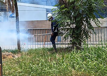 Marine Parade Pest Control Companies All Out Pest Management Pte. Ltd. image 3 Marine Parade Pest Control Companies All Out Pest Management Pte. Ltd. image 3