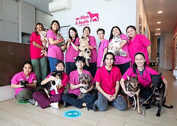 Serangoon Veterinary Clinics Allpets & Aqualife Clinic image 2 Serangoon Veterinary Clinics Allpets & Aqualife Clinic image 2