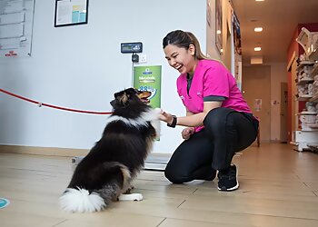 Serangoon Veterinary Clinics Allpets & Aqualife Clinic image 3 Serangoon Veterinary Clinics Allpets & Aqualife Clinic image 3