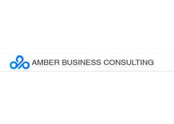 Amber Business Consulting