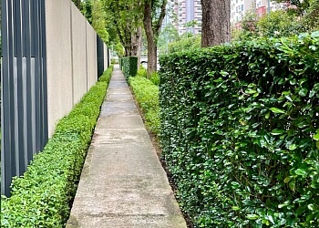 Woodlands Landscaping Companies Amozonia Pte. Ltd. image 2 Woodlands Landscaping Companies Amozonia Pte. Ltd. image 2