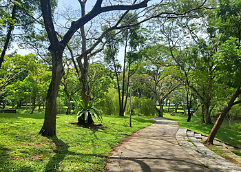 Ang Mo Kio Public Parks Ang Mo Kio Park image 2 Ang Mo Kio Public Parks Ang Mo Kio Park image 2