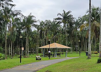 Ang Mo Kio Public Parks Ang Mo Kio Town Garden West image 2 Ang Mo Kio Public Parks Ang Mo Kio Town Garden West image 2