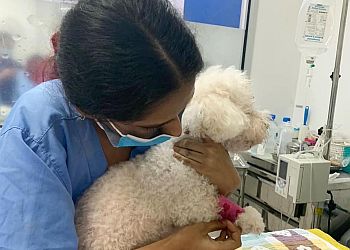 Hougang Veterinary Clinics Animal World Veterinary Clinic image 3 Hougang Veterinary Clinics Animal World Veterinary Clinic image 3