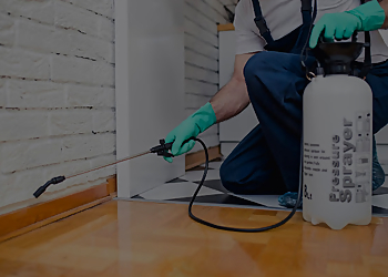 Choa Chu Kang Pest Control Companies Antipest Solutions Pte. Ltd. image 1