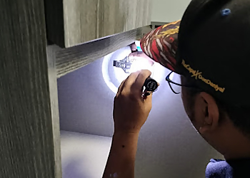 Jurong West Pest Control Companies Ardent Pest Management image 2 Jurong West Pest Control Companies Ardent Pest Management image 2