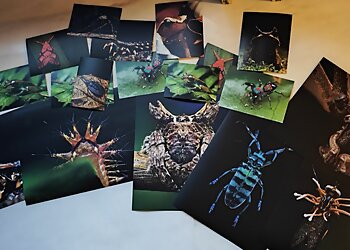 Asia CES Pte. Ltd image Asia CES Pte. Ltd