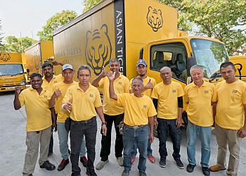 Asian Tigers photo Asian Tigers