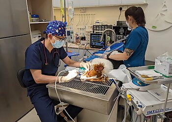 Bukit Merah Veterinary Clinics Atlas Veterinary Clinic & Surgery image 3 Bukit Merah Veterinary Clinics Atlas Veterinary Clinic & Surgery image 3