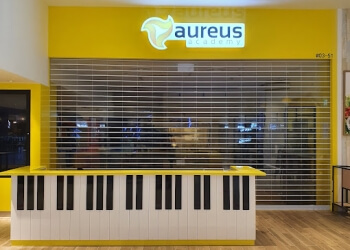 Aureus Academy image Aureus Academy