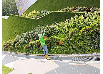 Changi Landscaping Companies BNL Services image 1