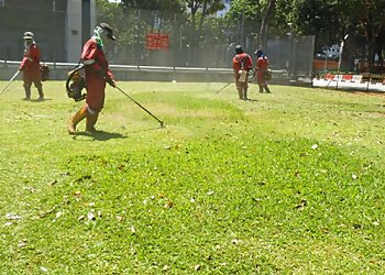 Yishun Landscaping Companies BSG Landscape & Construction Pte Ltd. image 1