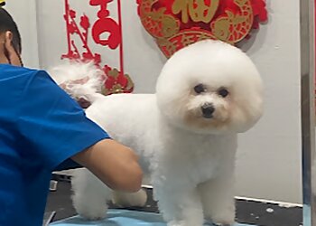 Bedok Pet Services Bark and Purr Grooming image 2 Bedok Pet Services Bark and Purr Grooming image 2