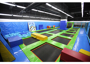 Beary Fun Gym image Beary Fun Gym