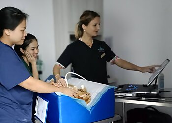 Telok Blangah Veterinary Clinics Beecroft Animal Specialist & Emergency Hospital image 2 Telok Blangah Veterinary Clinics Beecroft Animal Specialist & Emergency Hospital image 2