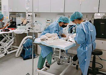 Telok Blangah Veterinary Clinics Beecroft Animal Specialist & Emergency Hospital image 3 Telok Blangah Veterinary Clinics Beecroft Animal Specialist & Emergency Hospital image 3