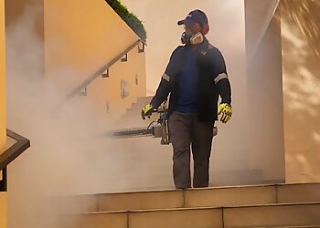 Toa Payoh Pest Control Companies Bingo Pest Pte. Ltd. image 2 Toa Payoh Pest Control Companies Bingo Pest Pte. Ltd. image 2