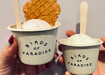 Birds of Paradise, Bukit Merah