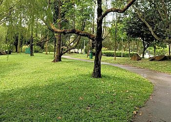 Bishan-Ang Mo Kio Park image Bishan-Ang Mo Kio Park