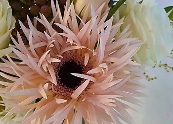 Raffles Place Flowers And Gifts Shops Bloomeys image 2 Raffles Place Flowers And Gifts Shops Bloomeys image 2