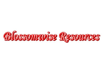 Blossomwise Resources Pte Ltd.