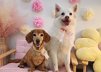 Bob And Lou Grooming photo Bob And Lou Grooming