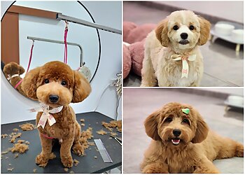 Bob And Lou Grooming image Bob And Lou Grooming