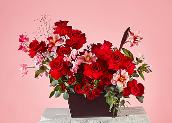 Kallang Flowers And Gifts Shops Boenga Flowers image 3 Kallang Flowers And Gifts Shops Boenga Flowers image 3