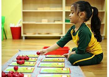 Brainy Bunch Woodlands photo Brainy Bunch Woodlands