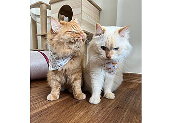 Brighton Vet Care image Brighton Vet Care