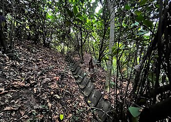 Bukit Batok Tourist Attractions Bukit Batok Hillside Park image 2 Bukit Batok Tourist Attractions Bukit Batok Hillside Park image 2