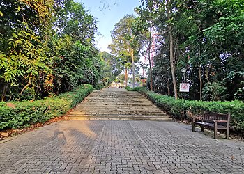 Bukit Batok Public Parks Bukit Batok Nature Park image 2 Bukit Batok Public Parks Bukit Batok Nature Park image 2
