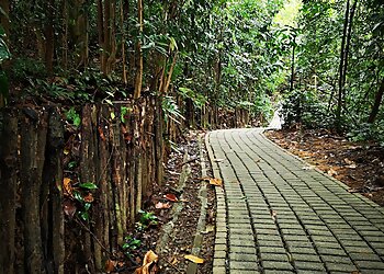 Bukit Batok Public Parks Bukit Batok Nature Park image 3 Bukit Batok Public Parks Bukit Batok Nature Park image 3