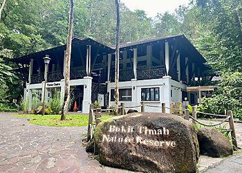 Bukit Panjang Tourist Attractions Bukit Timah Nature Reserve image 2 Bukit Panjang Tourist Attractions Bukit Timah Nature Reserve image 2