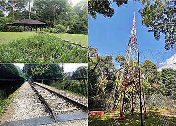 Bukit Panjang Tourist Attractions Bukit Timah Nature Reserve image 3 Bukit Panjang Tourist Attractions Bukit Timah Nature Reserve image 3