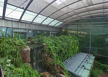 Changi Tourist Attractions Butterfly Garden image 2 Changi Tourist Attractions Butterfly Garden image 2