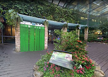 Changi Tourist Attractions Butterfly Garden image 3 Changi Tourist Attractions Butterfly Garden image 3